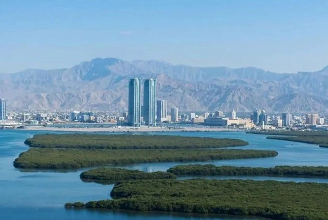 Dubai Freezone Company Setup Services: Expert Guidance for Your Business (2026)