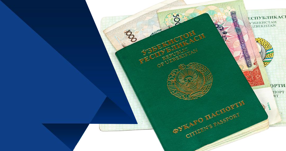 Freelancer Visa