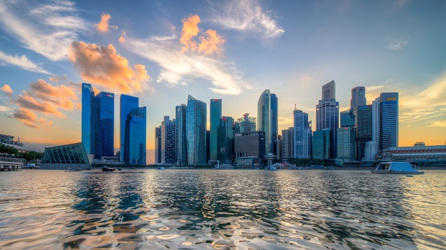DMCC Company Register: Your Complete Guide to Registration, Process & Public Directory